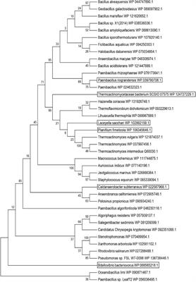 Expression of Novel L-Leucine Dehydrogenase and High-Level Production of L-Tert-Leucine Catalyzed by Engineered Escherichia coli